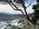 Uno splendido sentiero costiero nel Parque Nacional de la Tierra del Fuego
